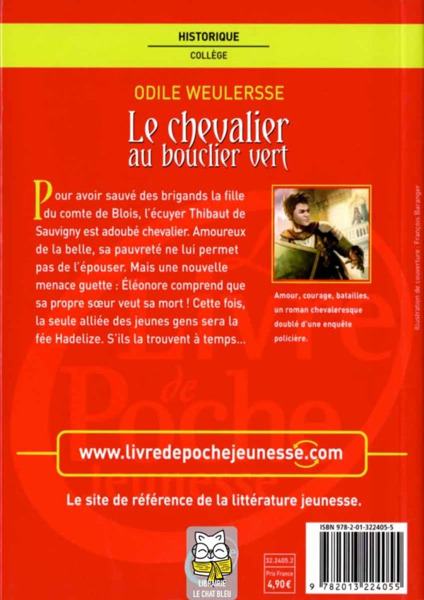 le chevalier au bouclier vert