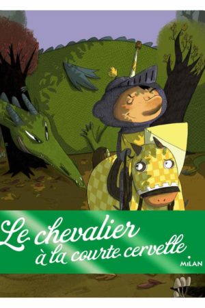 Le chevalier à la courte cervelle - Anne Jonas