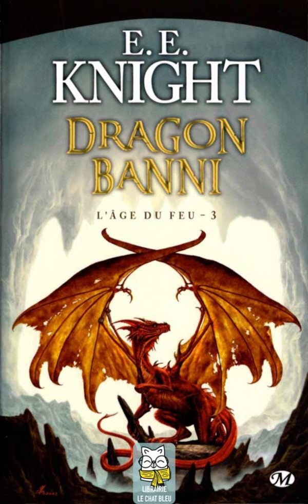 L'Âge du Dragon T3 : Dragon Banni - E. E. Knight