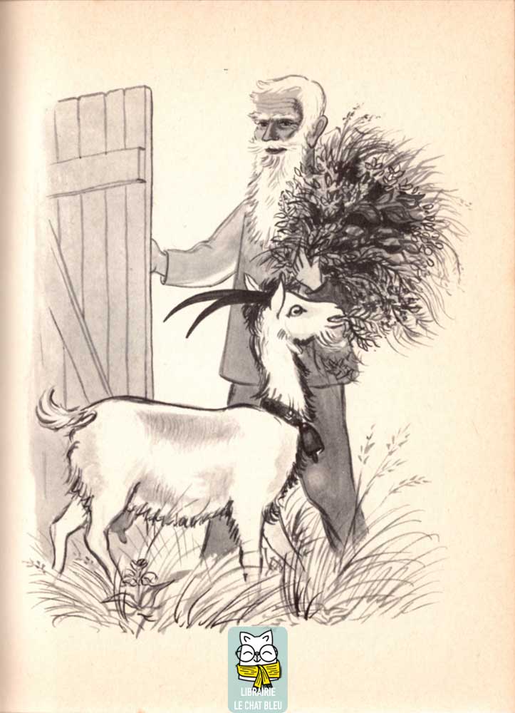 Heidi grandit - Johanna Spyri