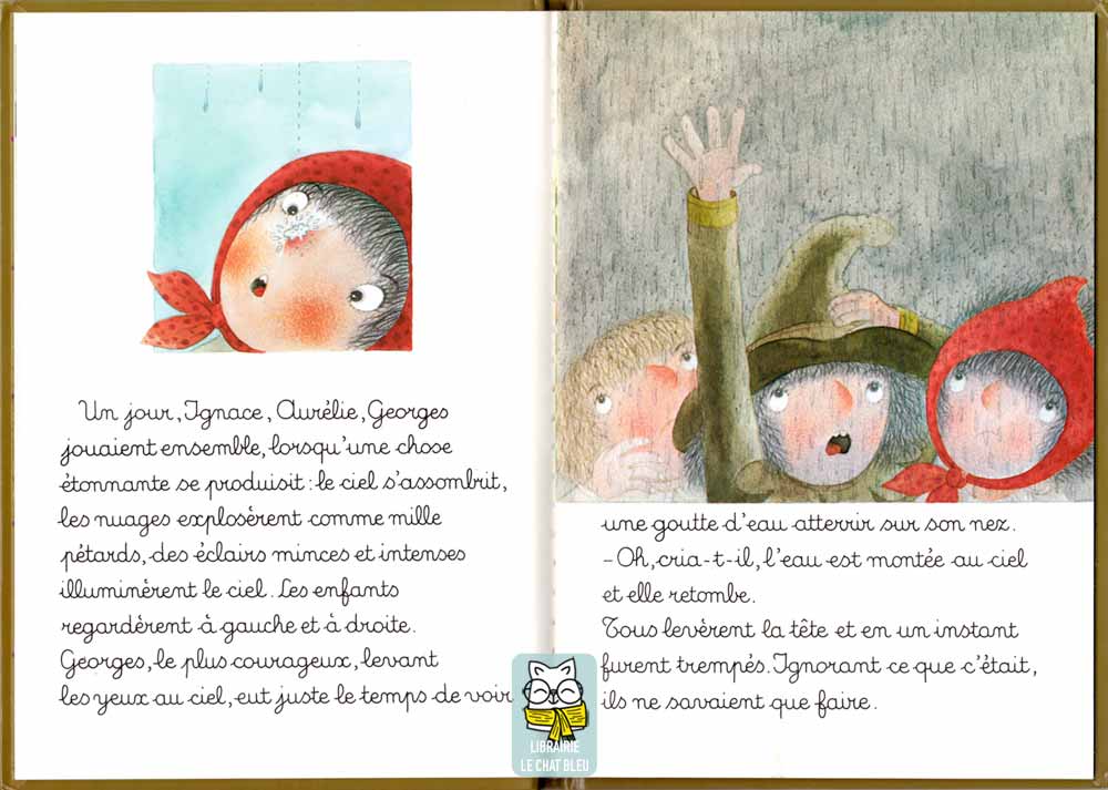 L'arbre de pluie - Mercè Company