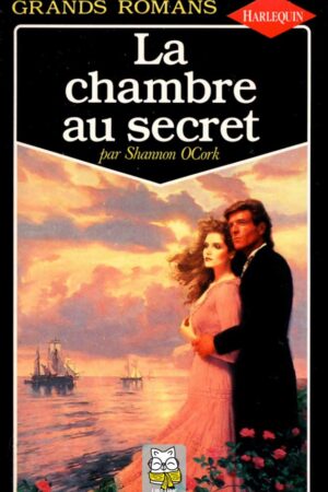 La chambre au secret - Shannon OCork
