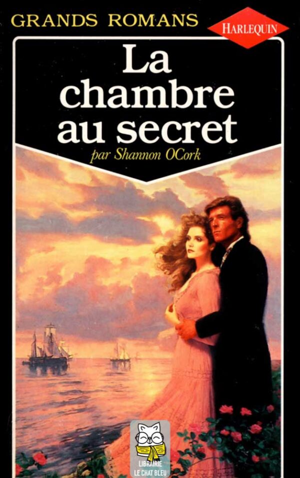 La chambre au secret - Shannon OCork