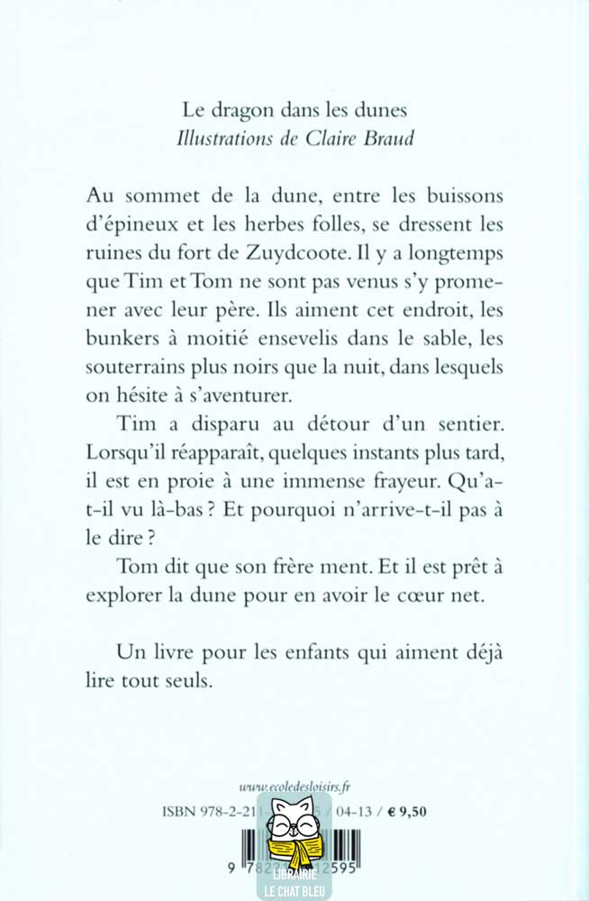 Le dragon dans les dunes - Olivier de Solminihac