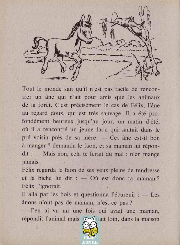 Le petit âne dans la forêt