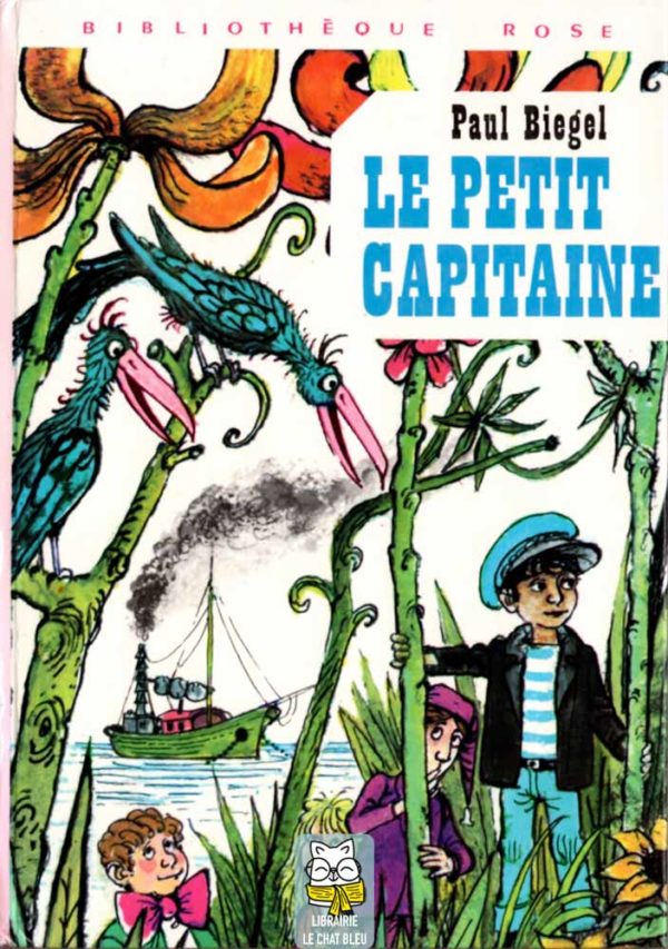 Le petit capitaine - Paul Biegel