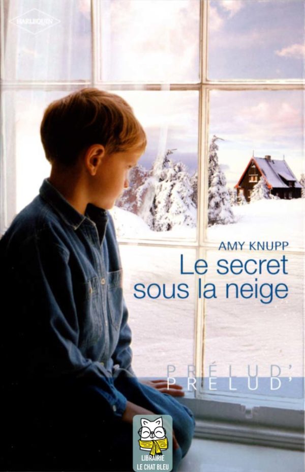 Le secret sous la neige - Amy Knupp