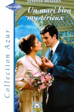Un mari bien mystérieux - Janelle Denison