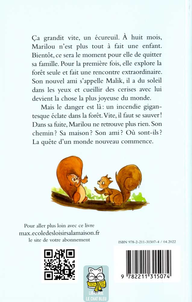 Marilou et le grand incendie - Valérie Zenatti