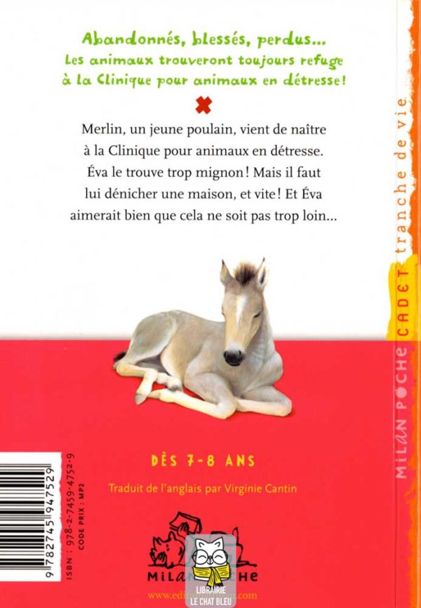 animaux en détresse : merlin, le poulain sans famille