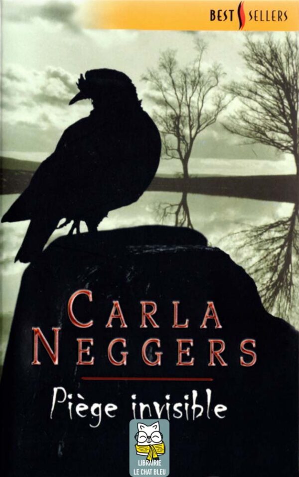 Piège invisible - Carla Neggers