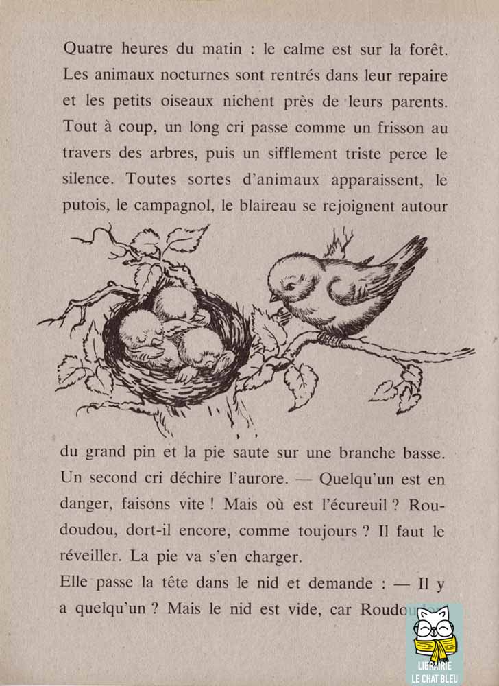 Roudoudou l'écureuil