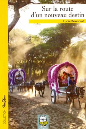 Sur la route d'un nouveau destin - Lucie Brincourt