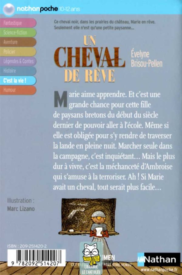 Un Cheval de rêve - Évelyne Brisou-Pellen
