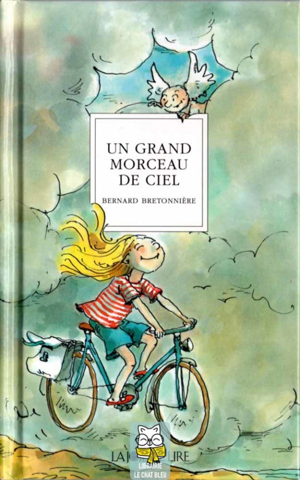 Un grand morceau de ciel - Bernard Bretonnière