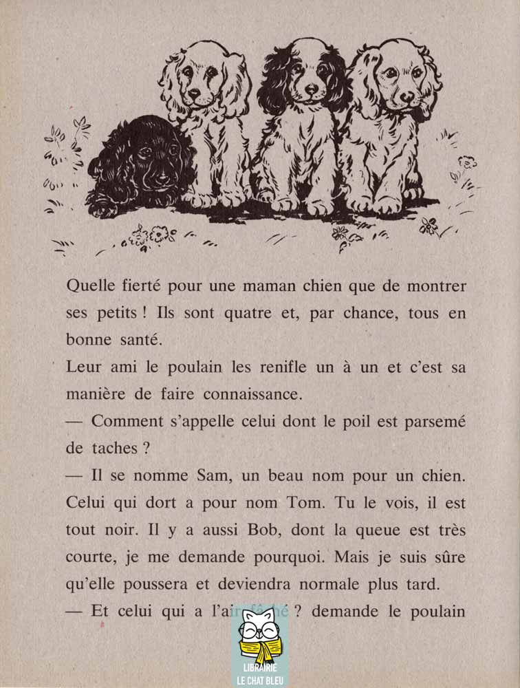 Un petit chien capricieux