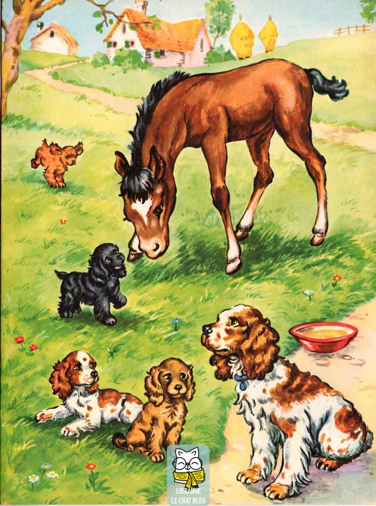 Un petit chien capricieux
