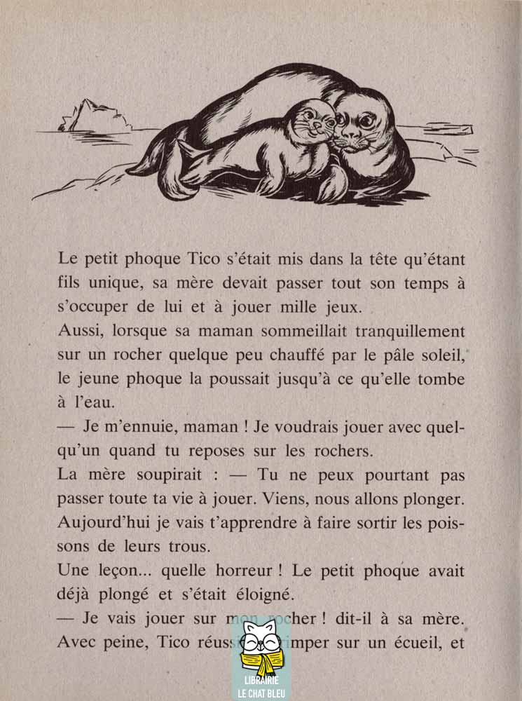 Un pingouin timide