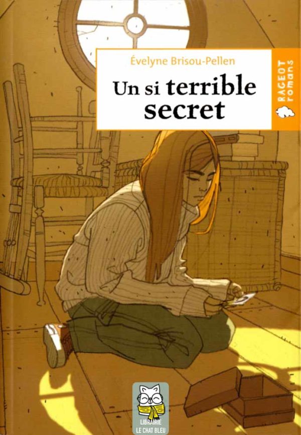 Un si terrible secret - Évelyne Brisou-Pellen