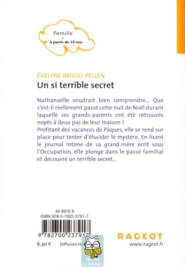 Un si terrible secret - Évelyne Brisou-Pellen