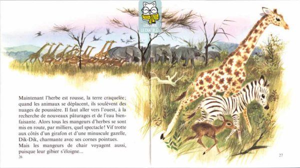 Vif, le petit zèbre - Marcelle Vérité